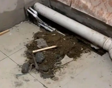 定陶卫生间漏水检测哪家好