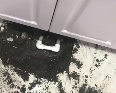 定陶查漏水哪家好